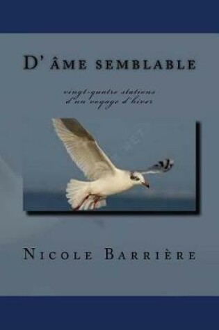 Cover of une ame semblable