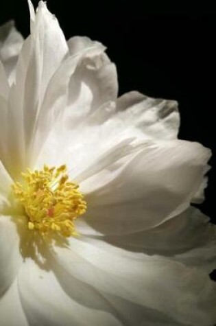 Cover of Glorious White Chinese Peony Blossom Flower Journal