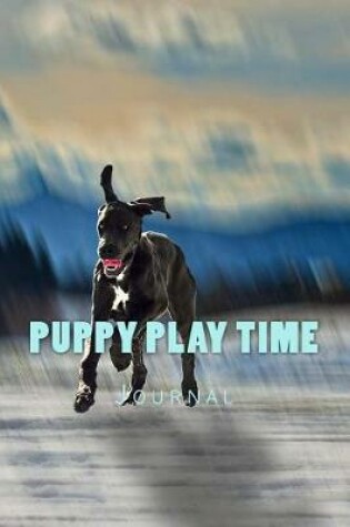 Cover of Puppy Play Time