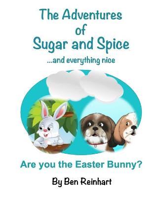 Book cover for Are you the Easter Bunny?