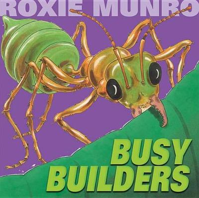 Book cover for Busy Builders