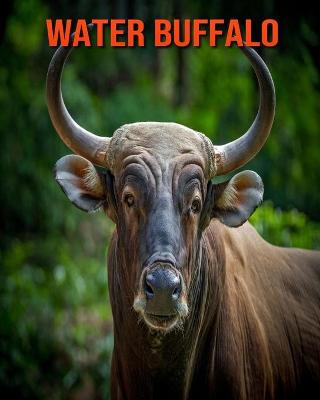 Book cover for Water Buffalo