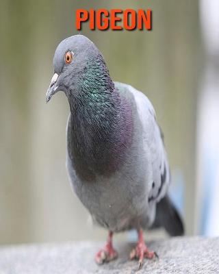 Book cover for Pigeon