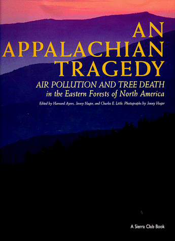 Book cover for An Appalachian Tragedy