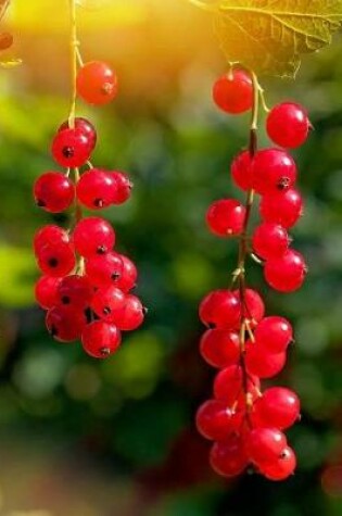 Cover of Red Currants Notebook 350 lined pages 8.5 x 11 glossy softcover