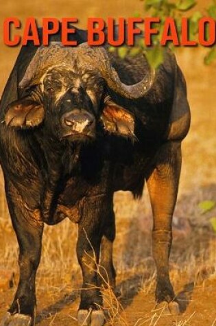 Cover of Cape Buffalo