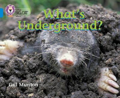 Book cover for What's Underground