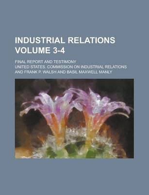 Book cover for Industrial Relations; Final Report and Testimony Volume 3-4