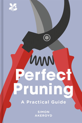 Cover of Perfect Pruning