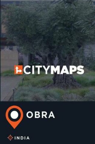 Cover of City Maps Obra India