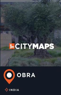 Book cover for City Maps Obra India