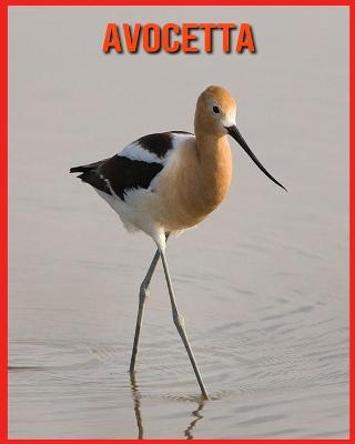 Book cover for Avocetta