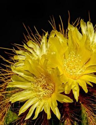 Book cover for Cactus Gardening Journal