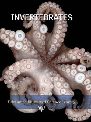 Cover of Invertebrates