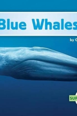 Cover of Blue Whales