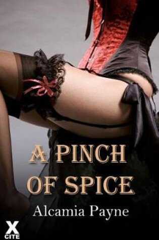 Cover of A Pinch of Spice