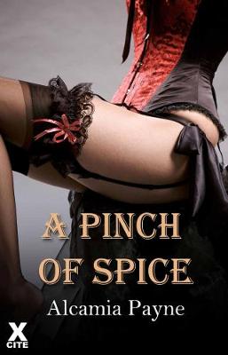 Cover of A Pinch of Spice