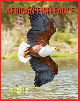 Book cover for African Fish Eagle