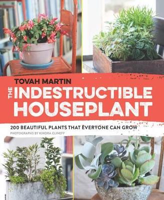 Book cover for Indestructible Houseplant