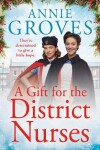 Book cover for A Gift for the District Nurses