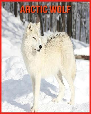 Book cover for Arctic wolf