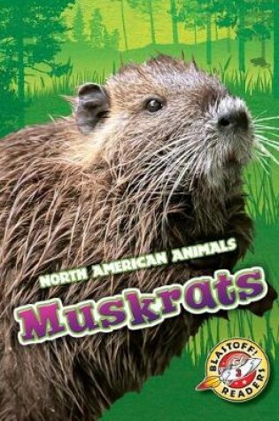 Cover of Muskrats