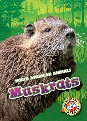 Book cover for Muskrats