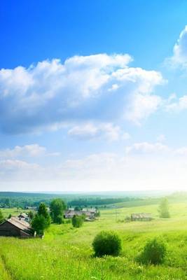 Book cover for A Perfect Summer Day with Blue Skies and Green Grass in Russia