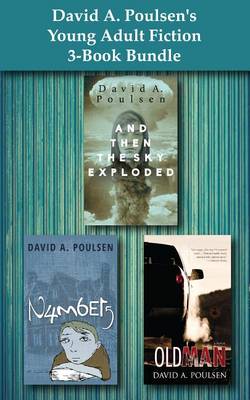 Book cover for David A. Poulsen's Young Adult Fiction 3-Book Bundle