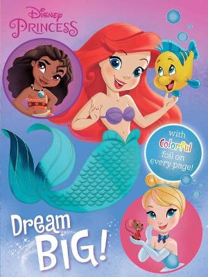 Book cover for Disney Princess: Dream Big!