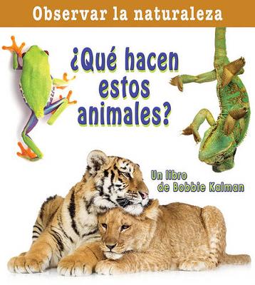 Book cover for ¿Qué Hacen Estos Animales? (What Are These Animals Doing?)