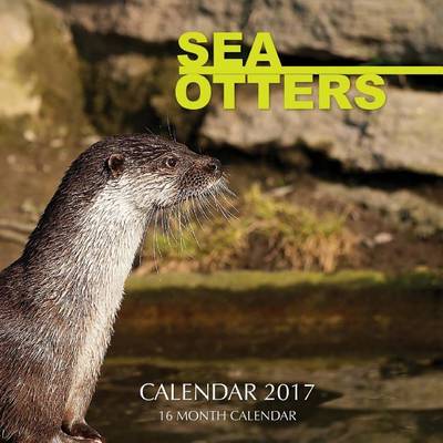 Book cover for Sea Otters Calendar 2017