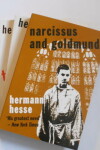 Book cover for The Hermann Hesse Collection