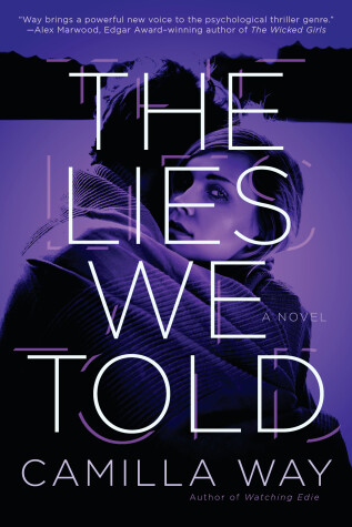 Book cover for The Lies We Told