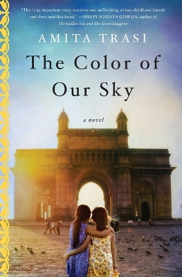 Book cover for The Color of Our Sky