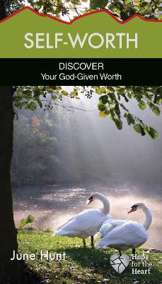 Book cover for Self-Worth