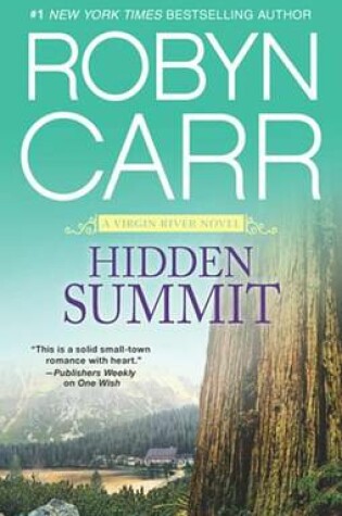 Cover of Hidden Summit