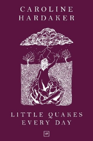 Cover of Little Quakes Every Day