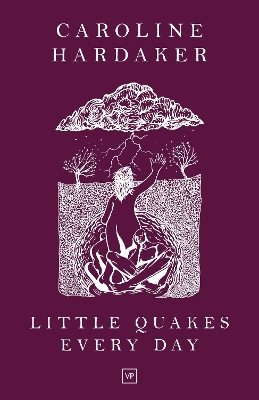 Book cover for Little Quakes Every Day