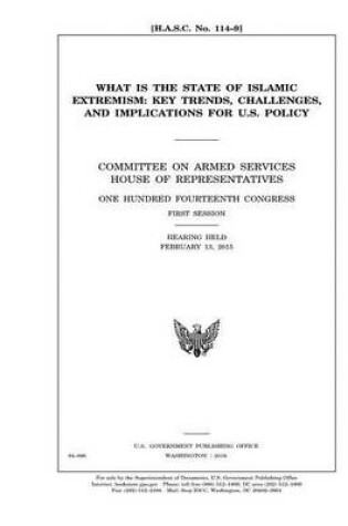 Cover of U.S. POLICY AND STRATEGY IN the MIDDLE EAST