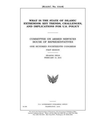 Book cover for U.S. POLICY AND STRATEGY IN the MIDDLE EAST