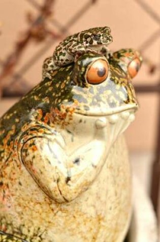 Cover of Frog and Frog on His Head