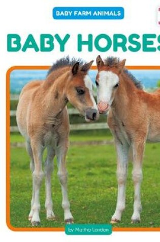 Cover of Baby Horses