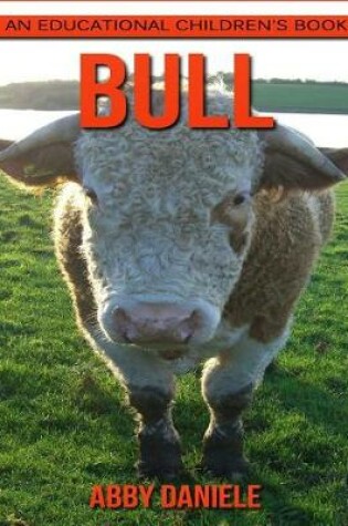 Cover of Bull! An Educational Children's Book about Bull with Fun Facts & Photos
