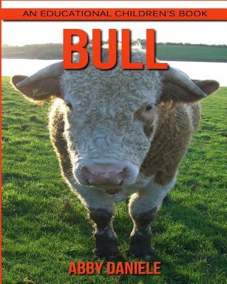 Book cover for Bull! An Educational Children's Book about Bull with Fun Facts & Photos
