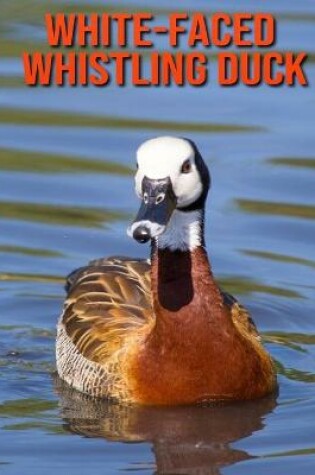 Cover of White-Faced Whistling Duck