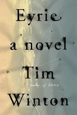 Book cover for Eyrie