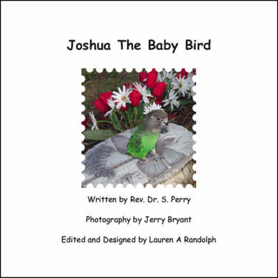 Book cover for Joshua the Baby Bird