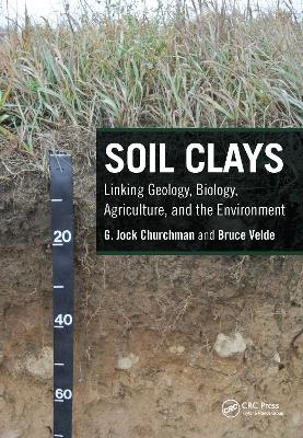 Book cover for Soil Clays