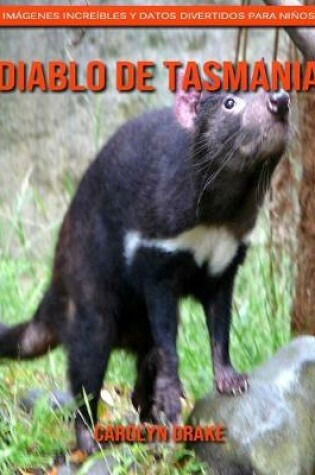 Cover of Diablo de Tasmania